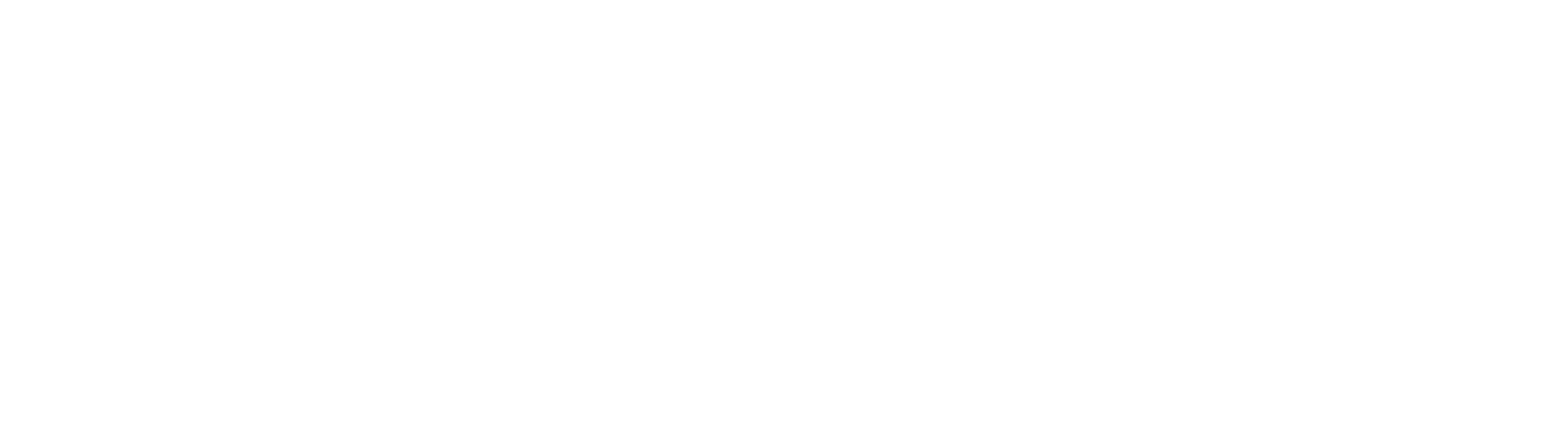 SamIT Solutions