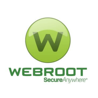 Microsoft Partner